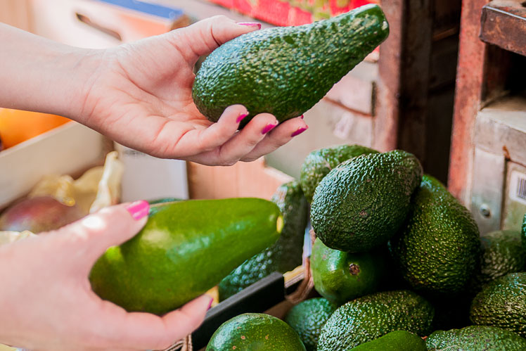 Quais são os benefícios do abacate?