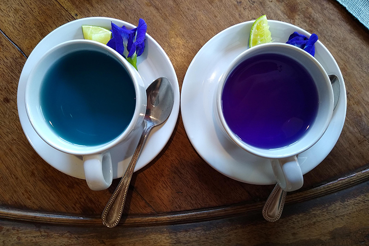 Secrets of blue tea: what it's made of, what it tastes like, and how it changes color
