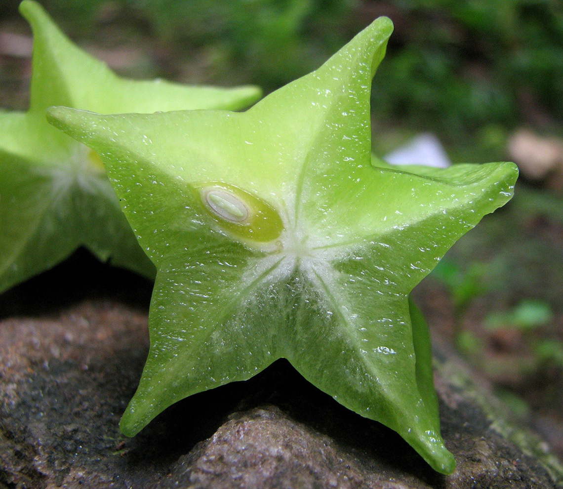 Carambola (eller starfruit, carambole, stjärnäpple, tropisk stjärna)