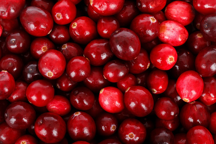 Food for the brain. Cranberry