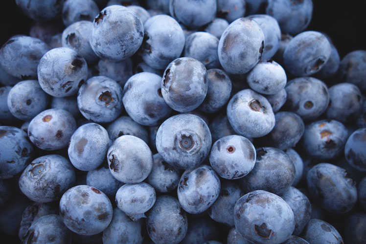 Makanan untuk otak. blueberry