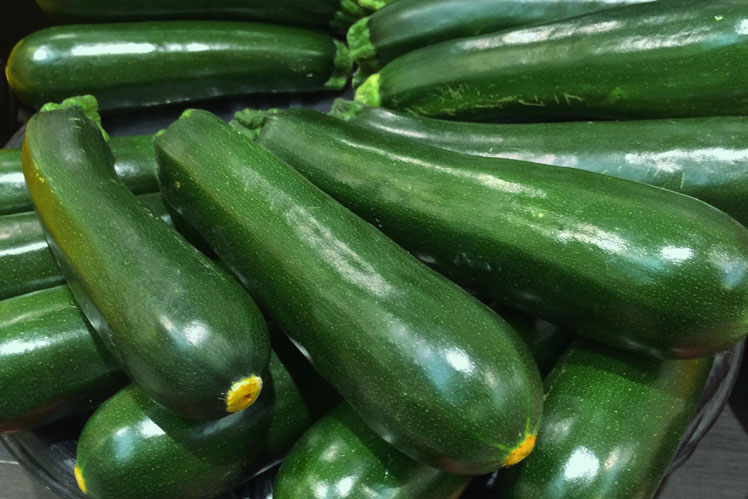 4 sebab untuk memasukkan zucchini dalam menu harian anda