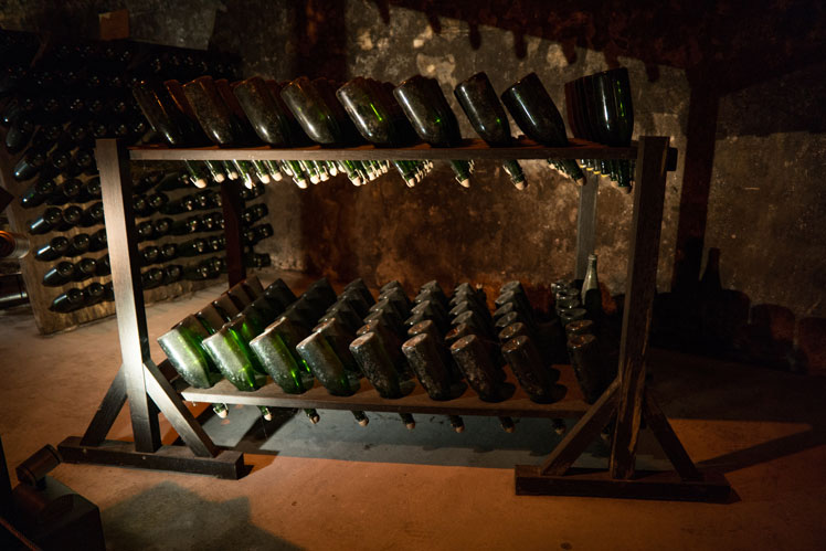 Champagne: varieties, production and other interesting facts