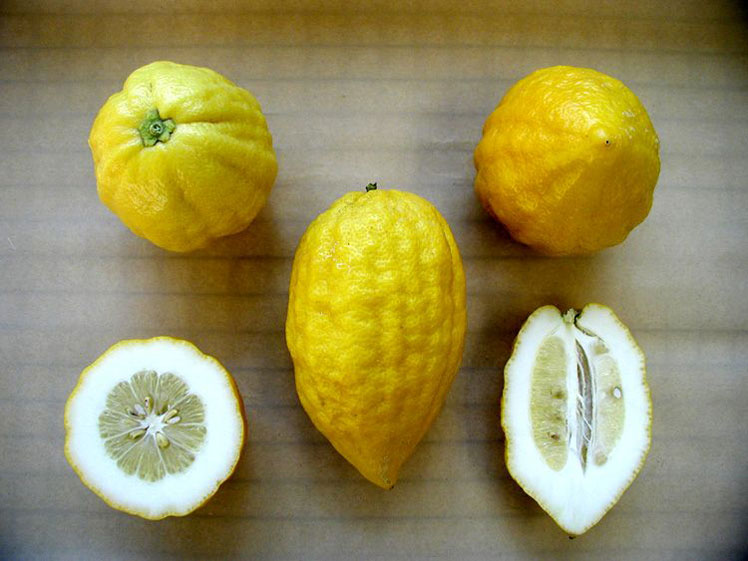 Citron (hoặc zest)