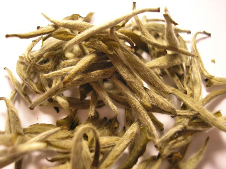 Interesting facts about white tea