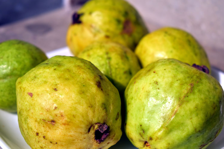 Guava (veya guava veya goyaba veya guava, ayrıca elma guava veya yaygın guava)