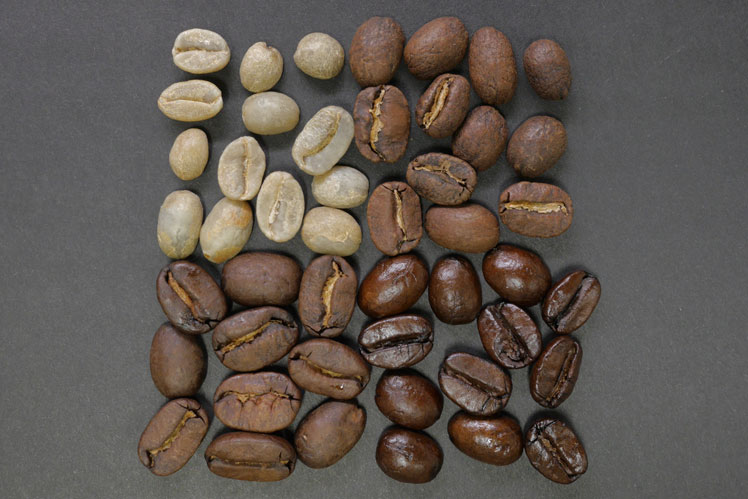 커피에 대한 흥미로운 사실: 준비의 유형 및 방법
