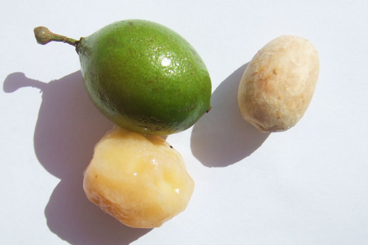 Spansk lime (eller melicoccus biparis eller mamonchillo)