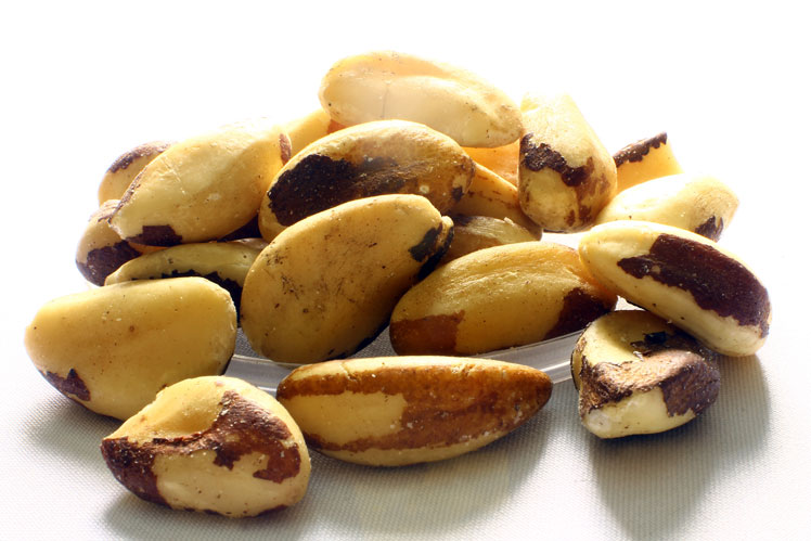 Para ořechy: pěstování a konzumace