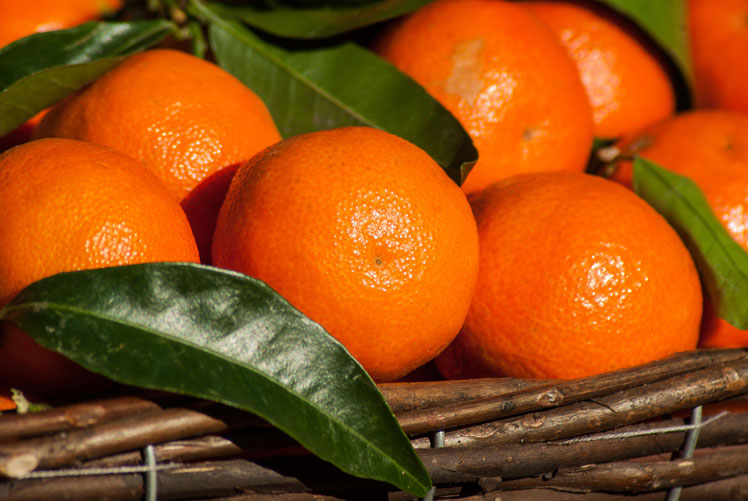Wissenswertes über Mandarinen, Mandarinen und Clementinen
