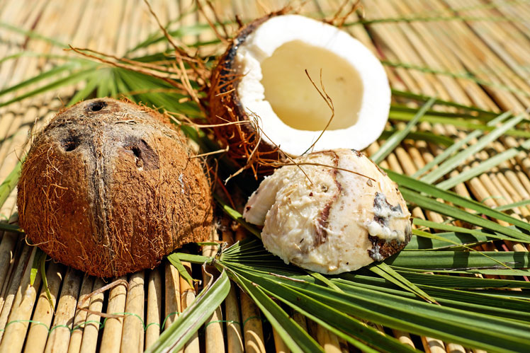 Zajímavá fakta o kokosu (kokos)