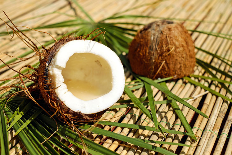 Zajímavá fakta o kokosu (kokos)