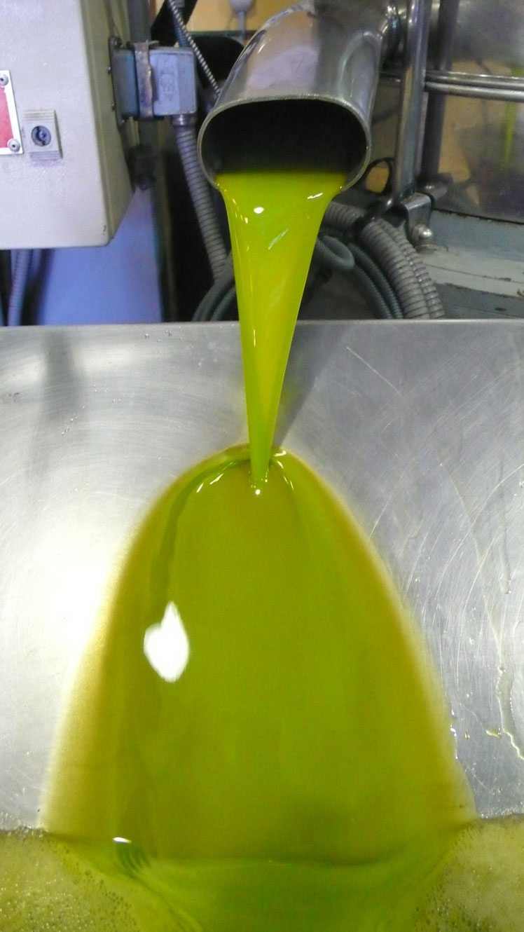 Datos interesantes sobre el aceite de oliva