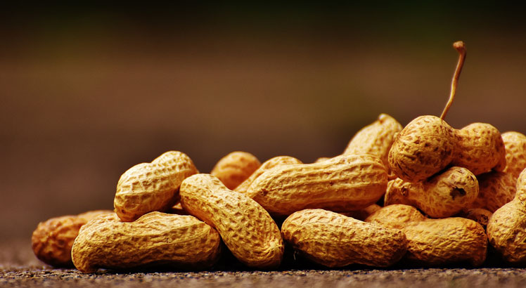 Який арахіс став популярним? Вирощування та застосування арахісу