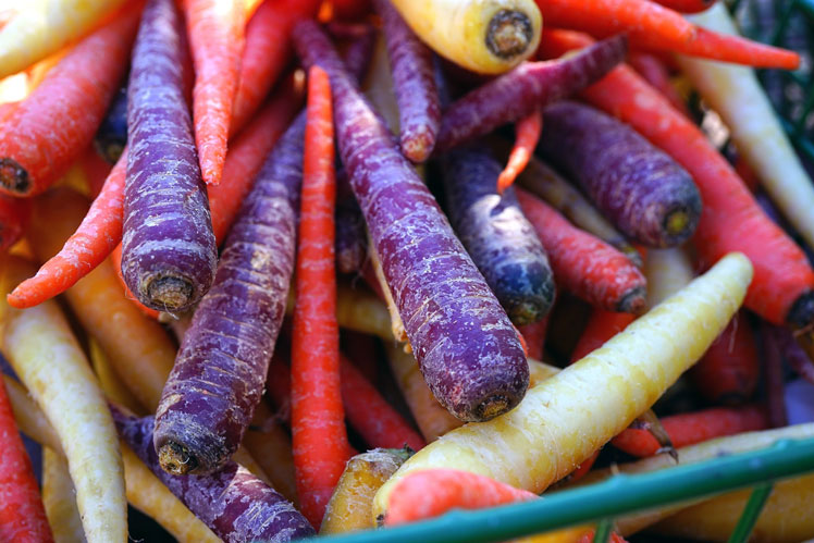 Carote multicolori | Cosa determina il colore delle carote