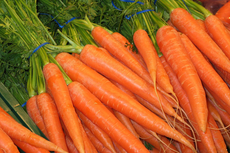 Flerfärgade morötter | Vad bestämmer färgen på morötter