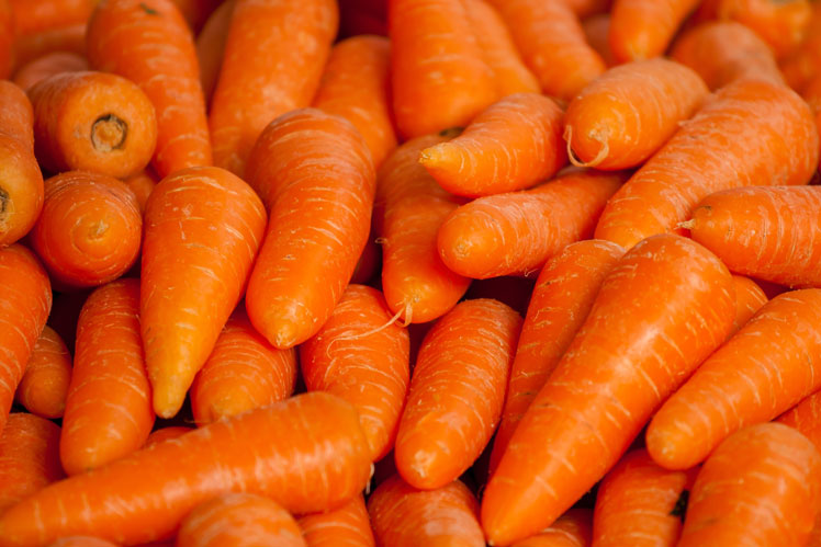 Mehrfarbige Karotten | Was bestimmt die Farbe von Karotten