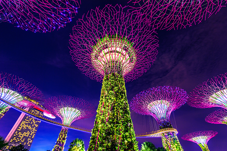 Giant Futuristic Trees in Singapore