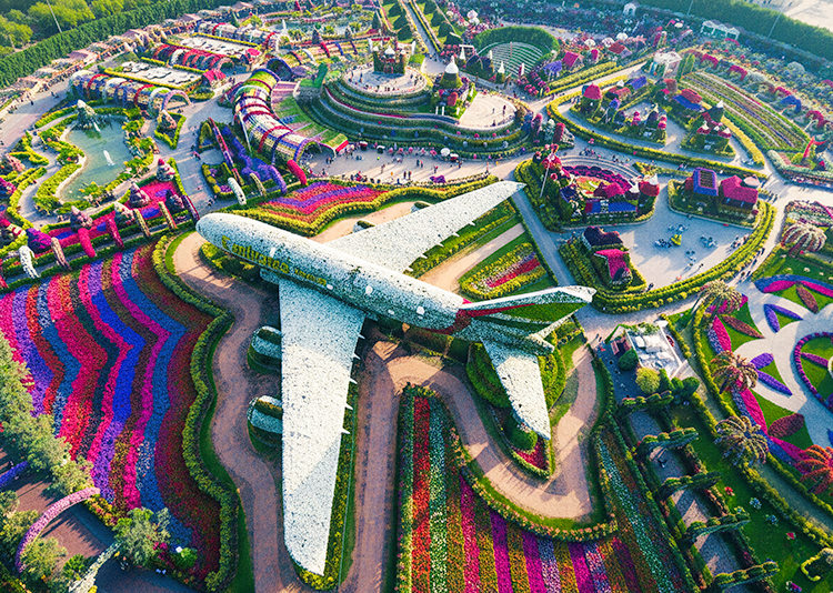 Dubai Miracle Garden - the largest flower garden in the world