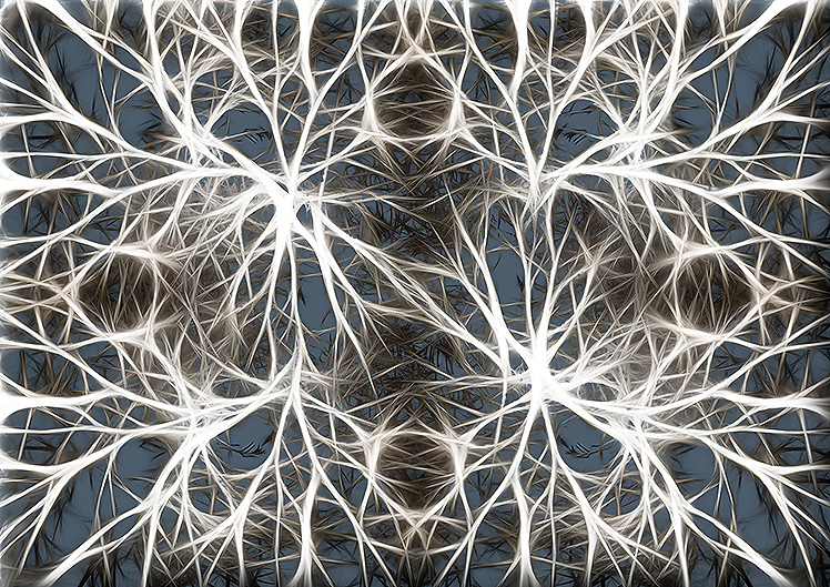 Nerve cells do not regenerate. Is it so?