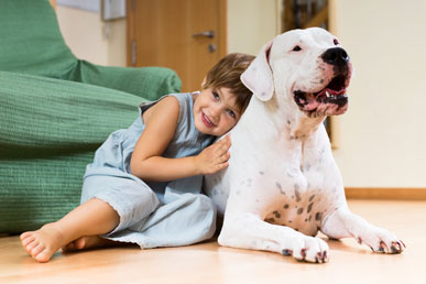 宠物会导致儿童过敏吗？