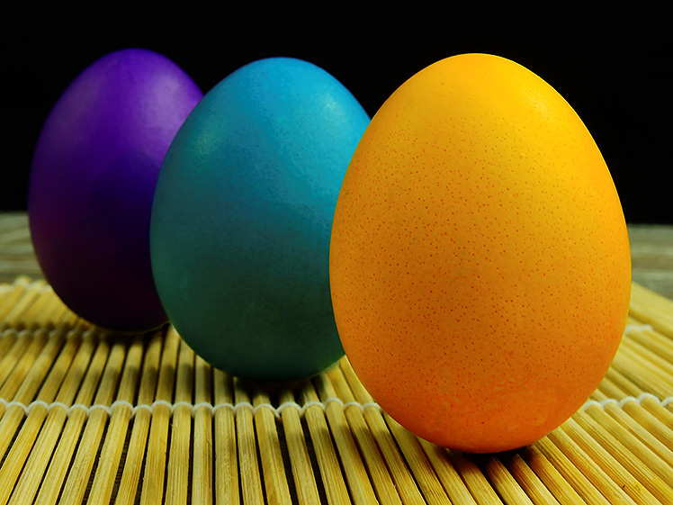 Equívocos comuns sobre ovos