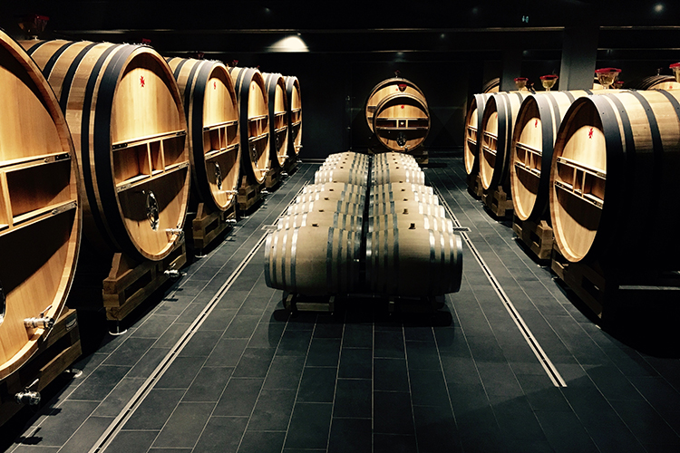 Champagne: myths and facts about this historic drink