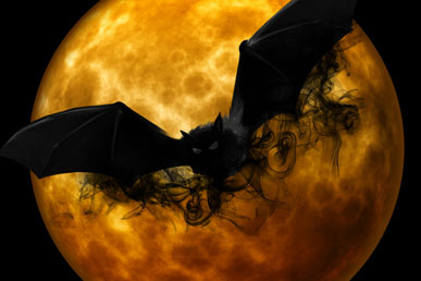 Μύθοι και γεγονότα για τις νυχτερίδες