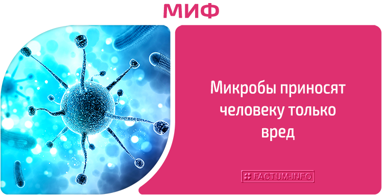 Mitos: Mikrob hanya membahayakan manusia