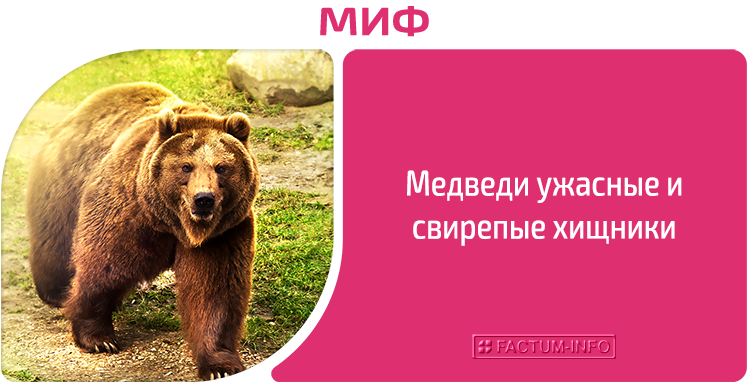 Myth: Bears are terrible and ferocious predators.