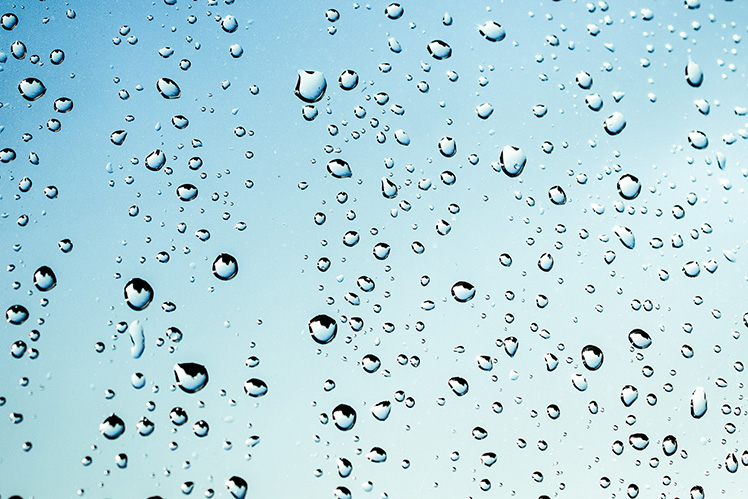 Nước mưa: lợi hay hại?