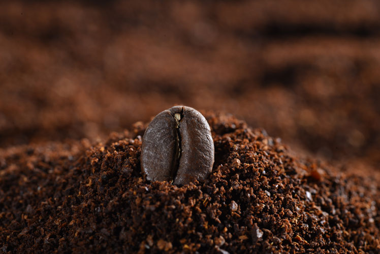 Historie kávy: Jak se káva stala populární