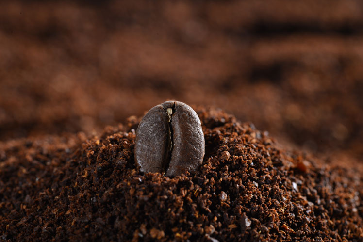 Die Geschichte des Kaffees: Wie Kaffee populär wurde