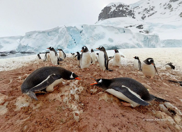 Podróż na Antarktydę | Widok 360º