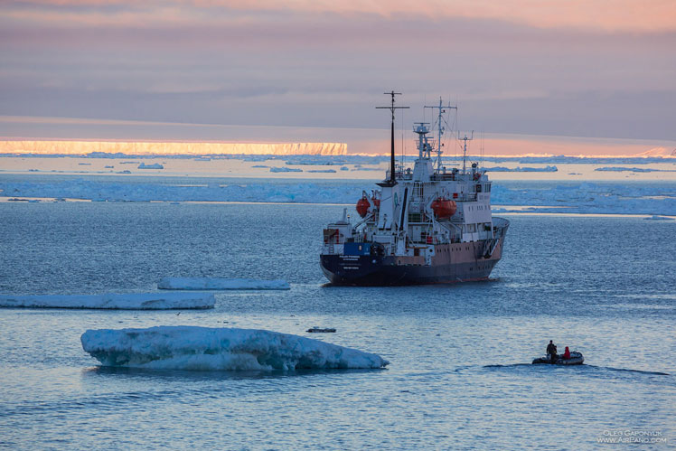 अंटार्कटिका की यात्रा | 360º दृश्य
