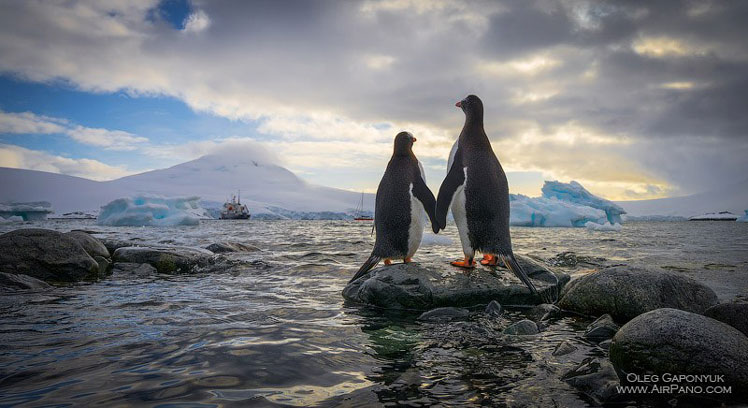 Resa till Antarktis | 360º vy