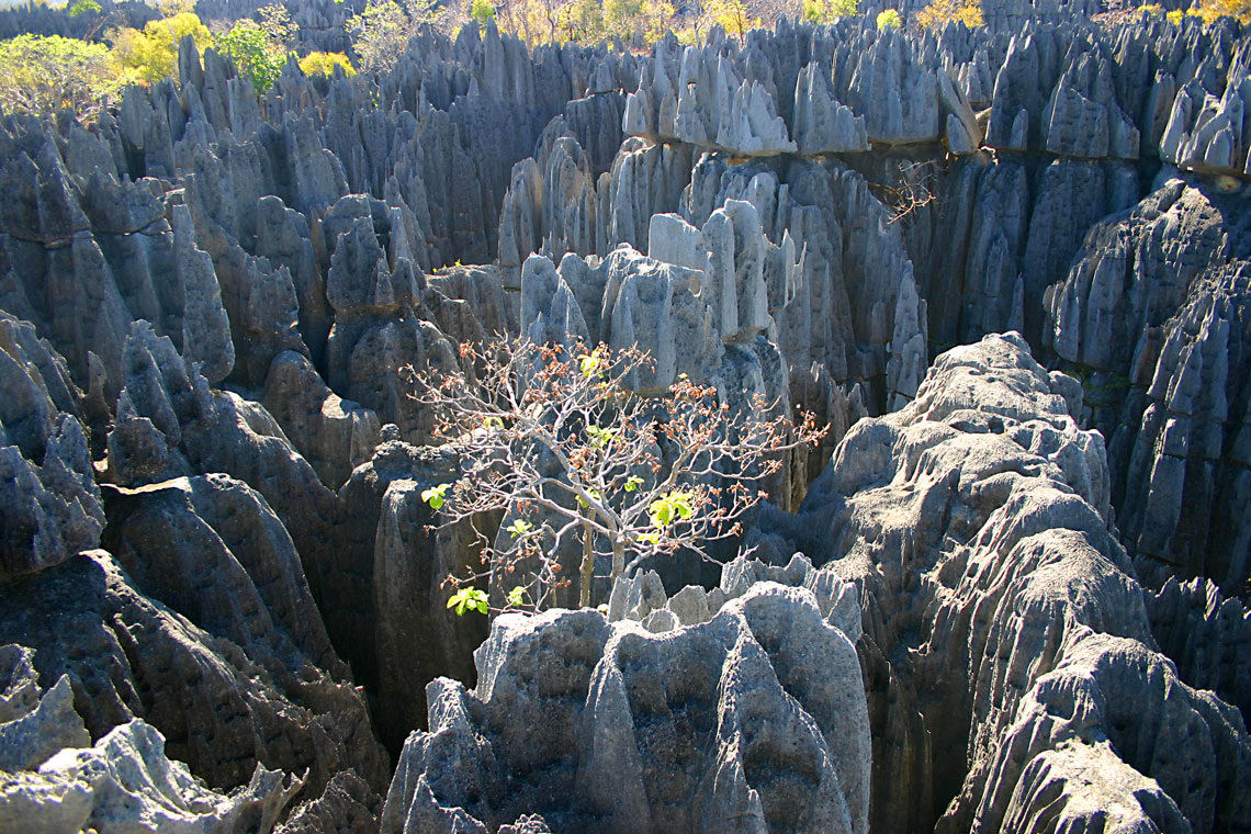 Tsingy de Bemaraha 엄격한 자연 보호 구역