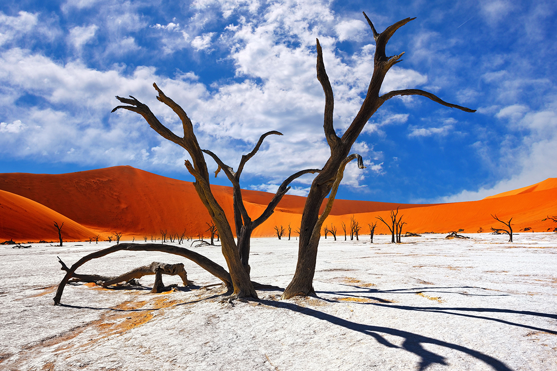 Dead Forest of Deadvlei, Namibia