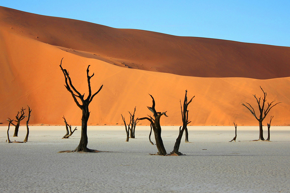 Dead Forest of Deadvlei, Namibia