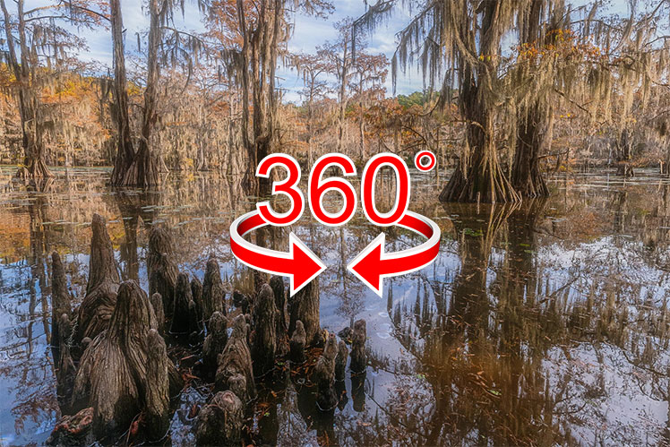 Virtuel tur: Cypressumpe i USA på grænsen mellem staterne Louisiana og Texas