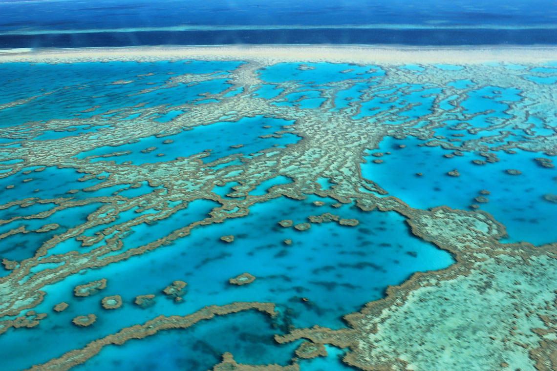 Ennek a zátonynak a szerkezete apró organizmusok milliárdjaiból alakult ki (épült), amelyeket a tudomány korallpolipoknak nevez. Területe nagyobb, mint Nagy-Britannia területe. A zátonyok többsége víz alatt van (apály idején vannak kitéve). Számos zátony a tenger koptató-akkumulatív tevékenységének hatására korallszigetekké változott.