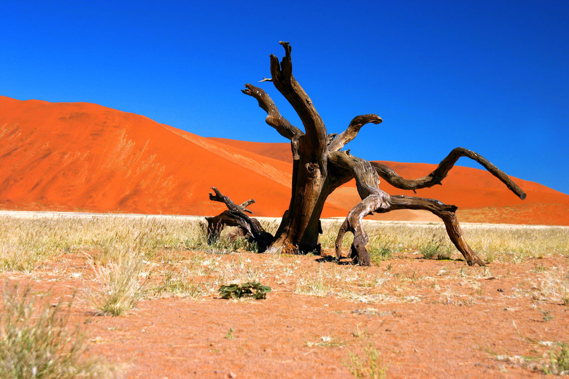 Namib er en kystørken i det sydvestlige Afrika (Republikken Namibia). Navnet "Namib" på Nama-sproget betyder "et sted, hvor der ikke er noget." Namib-ørkenen er ekstremt tør og er, med undtagelse af nogle få kystbyer, praktisk talt ubeboet.