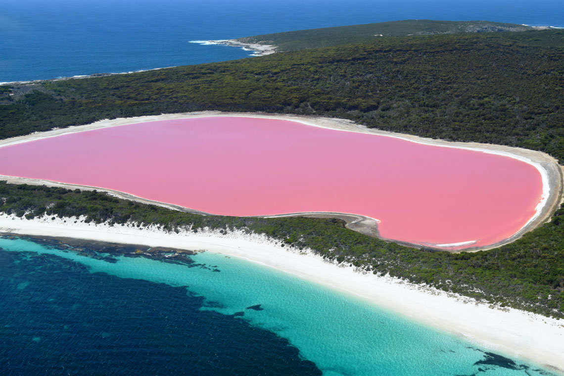 The length of Lake Hillier does not exceed 600 meters, and the width is about 250 meters. Only a narrow strip of dunes covered with vegetation separates it to the north from the Indian Ocean. The expressiveness of the lake is given by sand and white salt, located at the edges and framing it. The unusual color of Lake Hillier was discovered in 1802 during the expedition of Captain Matthew Flinders, an Australian explorer, hydrographer and scientist.