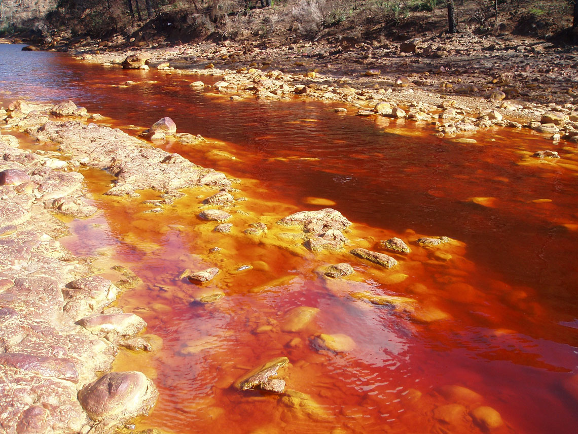 Rio Tinto (ou fleuve Rouge) est une rivière du sud-ouest de l'Espagne dans la région autonome d'Andalousie. La rivière est connue pour son acidité extrêmement élevée (PH 2–2,5) et sa couleur rouge vif en raison de sa forte teneur en fer et autres métaux. L'exploitation minière est pratiquée dans le cours supérieur de la rivière depuis 3000 ans, ce qui a donné à Rio Tinto une telle acidité et une telle couleur.