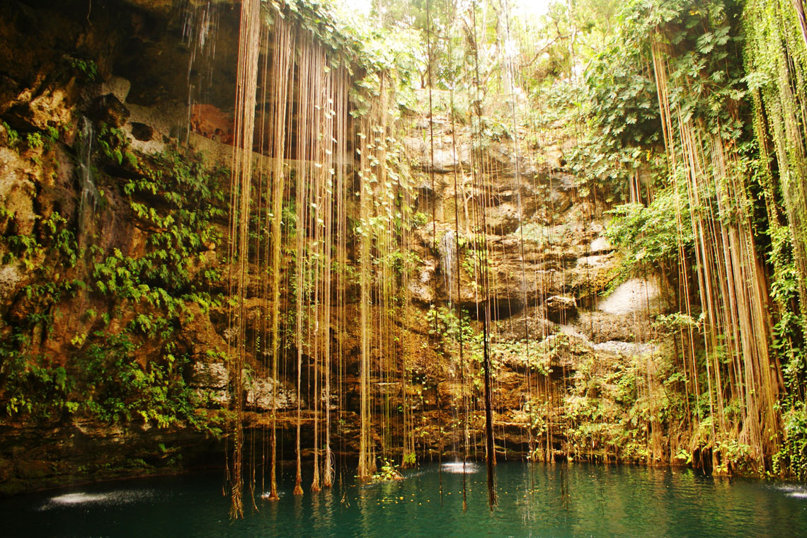 Cenotes are special karst formations, natural failures formed during the collapse of the vaults of limestone caves in which underground water flows. These can be lakes, wells and entire cave complexes with underground rivers and, at times, access to sea water. Cenotes are found on the Yucatan Peninsula in Mexico and nearby Caribbean islands.
