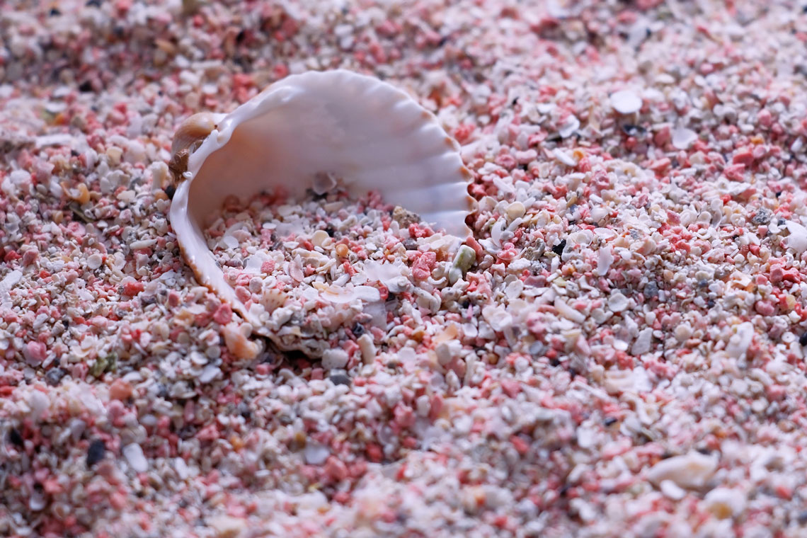 Al igual que las arenas rosadas del famoso Pink Sands en las Bahamas, el tono rosado a lo largo de la costa de Elafonisi Beach lo dan los depósitos de microorganismos pigmentados arrojados a tierra por las olas, que viven en una relación simbiótica con las algas locales. La isla es una reserva natural protegida.