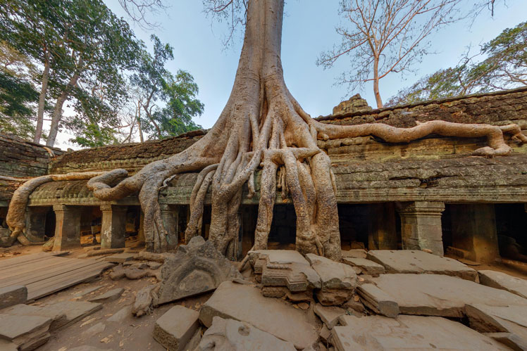 Tempio di Ta Prohm, Angkor, Cambogia | Visione a 360°