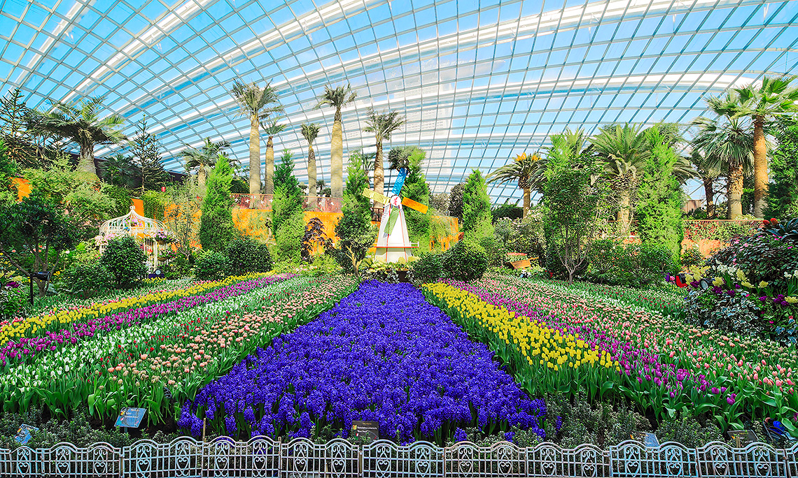 Greenhouse "Flower Dome" (Flower Dome)