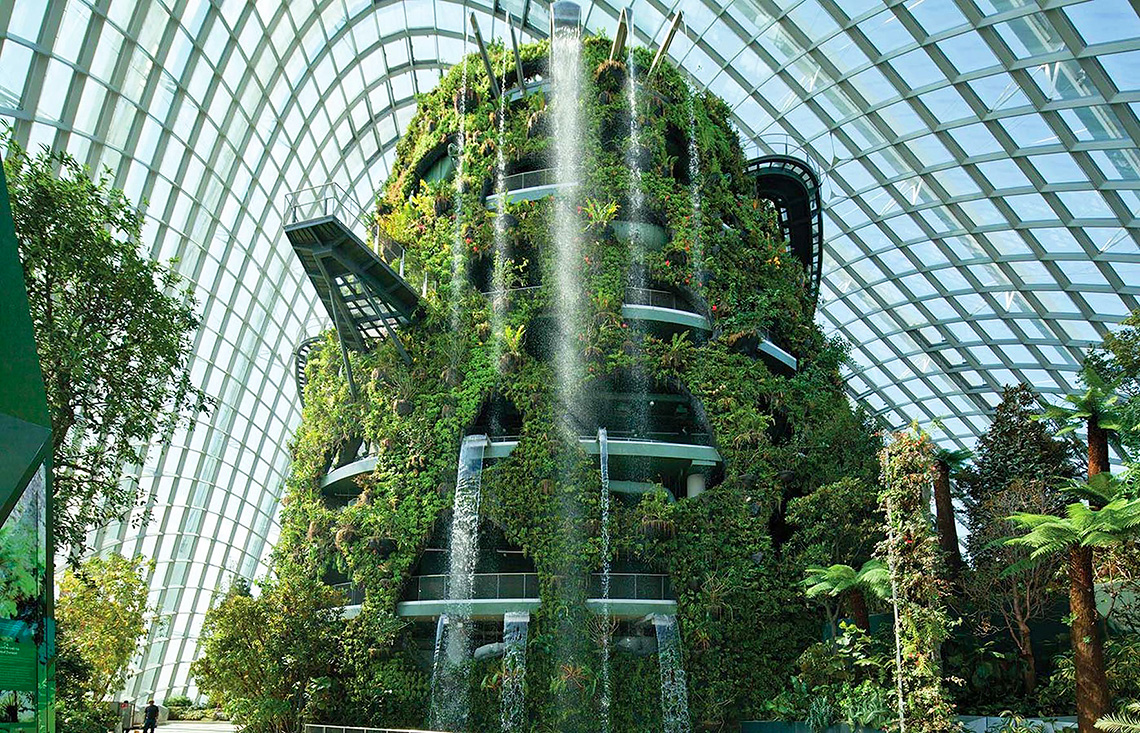 Cloud Forest Greenhouse