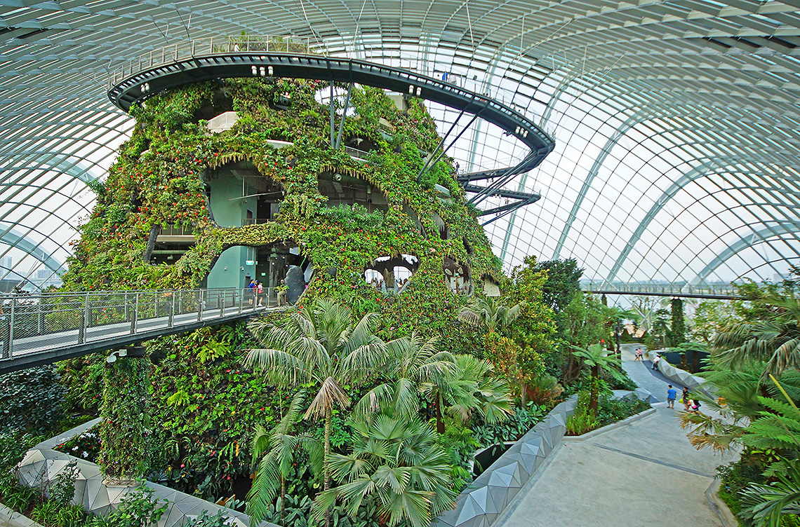Cloud Forest Greenhouse